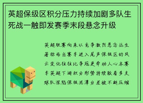 英超保级区积分压力持续加剧多队生死战一触即发赛季末段悬念升级
