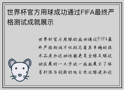 世界杯官方用球成功通过FIFA最终严格测试成就展示 世界杯官方用球成功通过FIFA最终严格测试成就展示